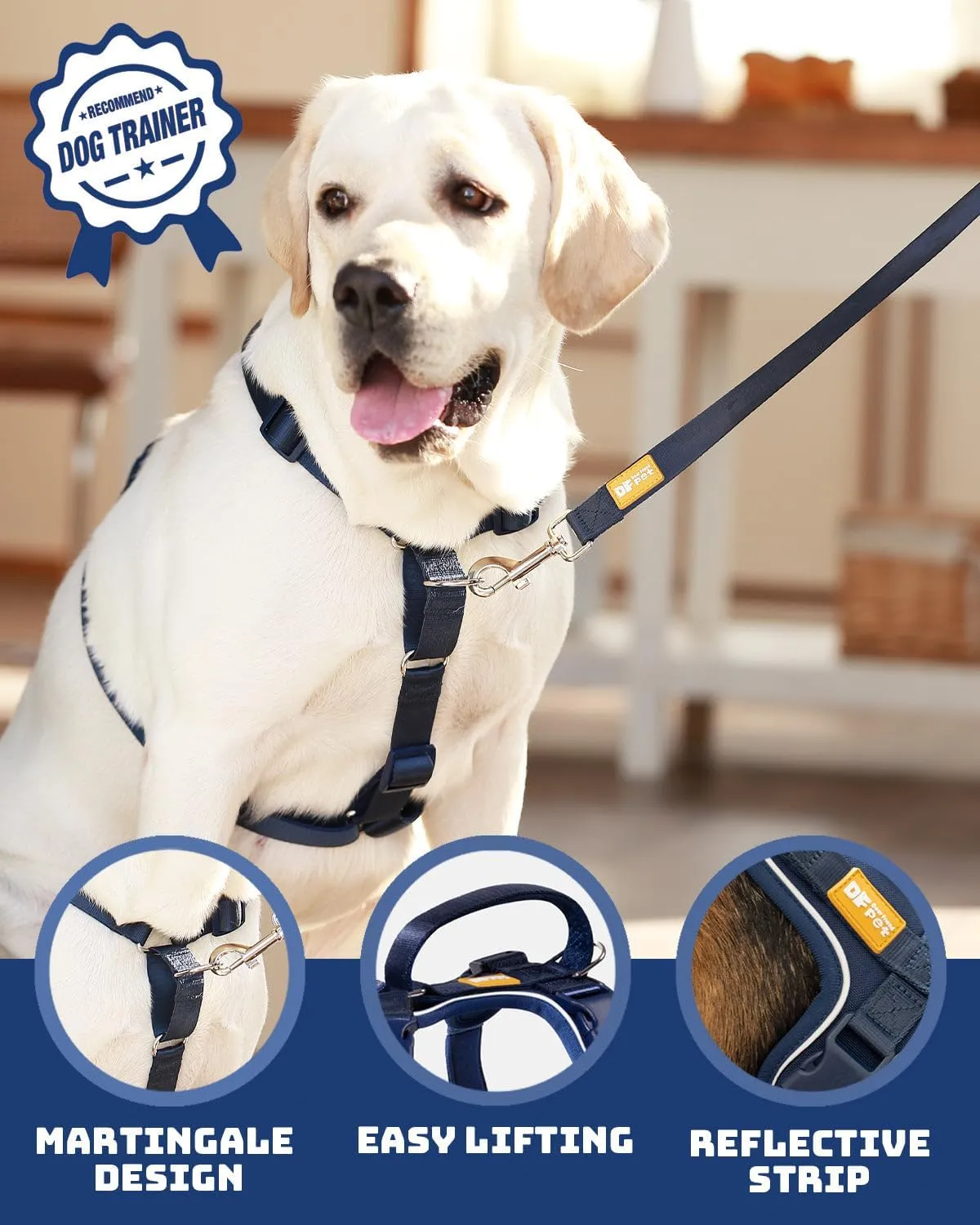 DF Freedom No Pull Martingale Dog Harness, Gentle Control for No Choking, Front Clip Harness with Reflective, 5 Point Adjustable and Safety Support Handle, Navy Blue, 3/4", Chest 22.4" - 30.4"