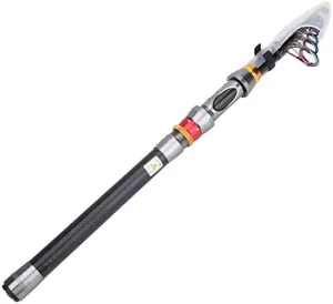 Dilwe Fishing Rod, 5 Size Carbon Fiber Portable Hard Fishing Poles for Freshwater (3.0)