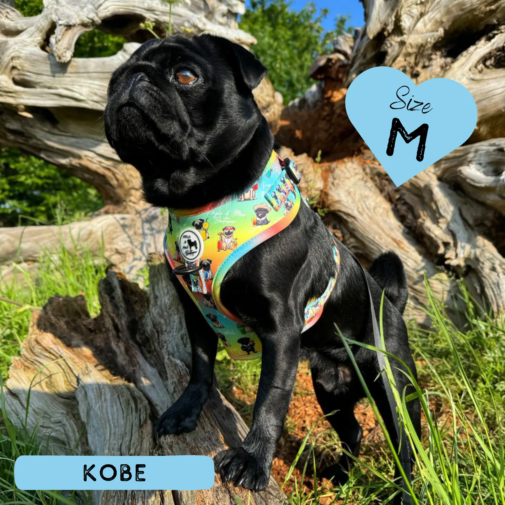 Dog Adjustable Harness - Oh My Pug!