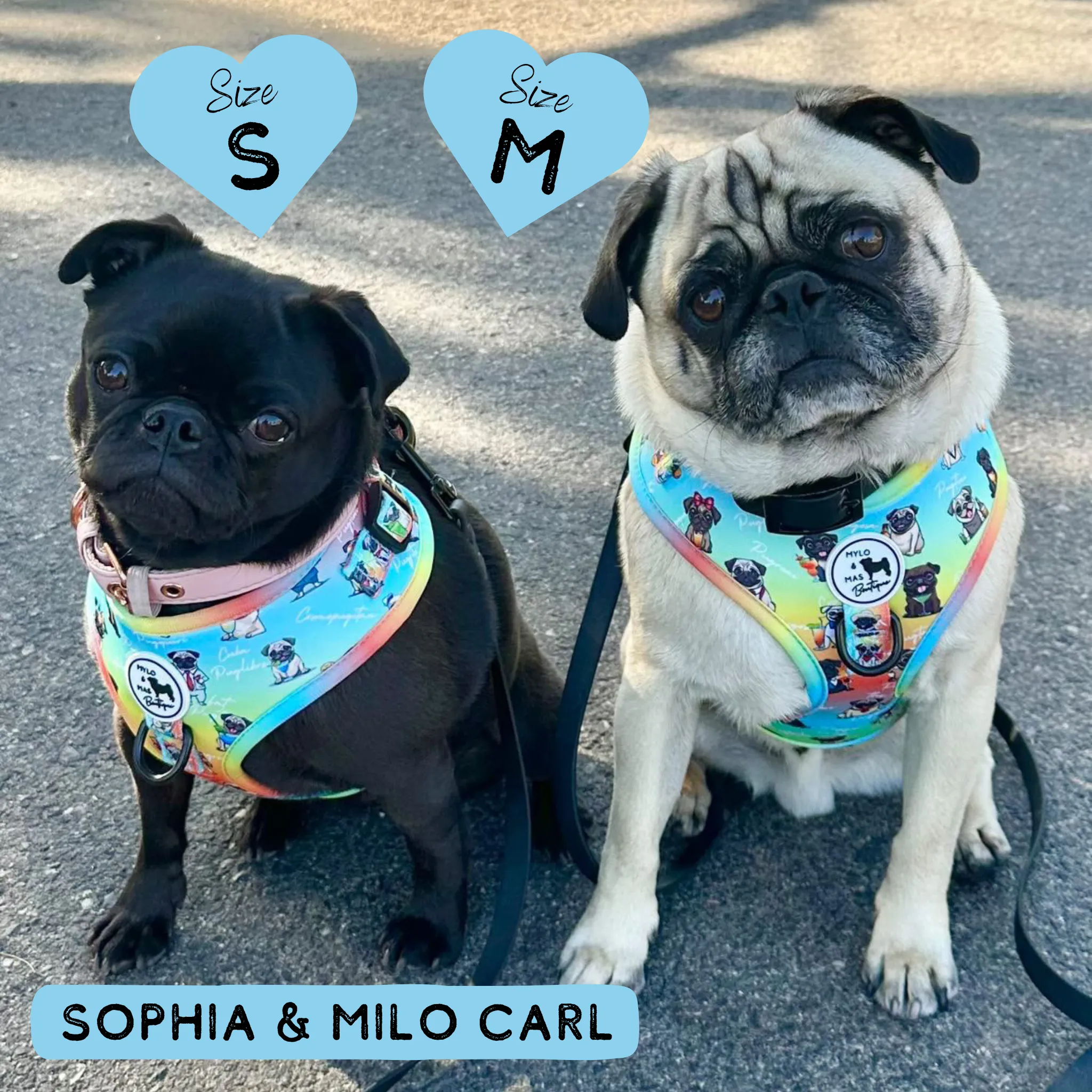 Dog Adjustable Harness - Oh My Pug!