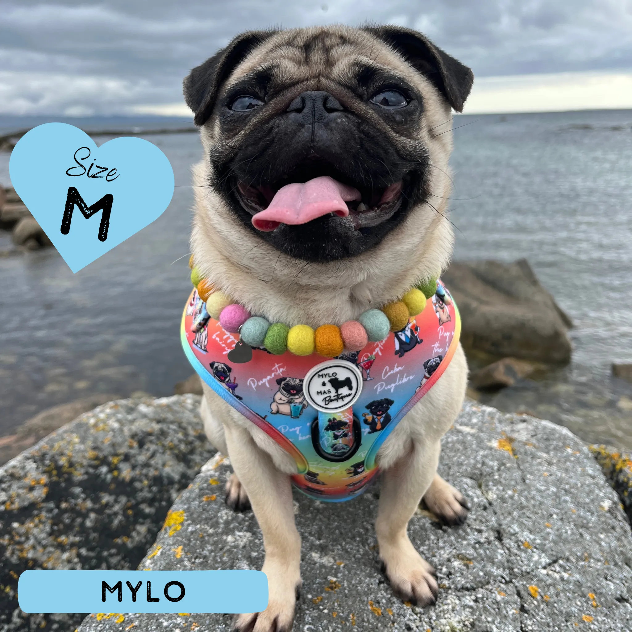 Dog Adjustable Harness - Oh My Pug!