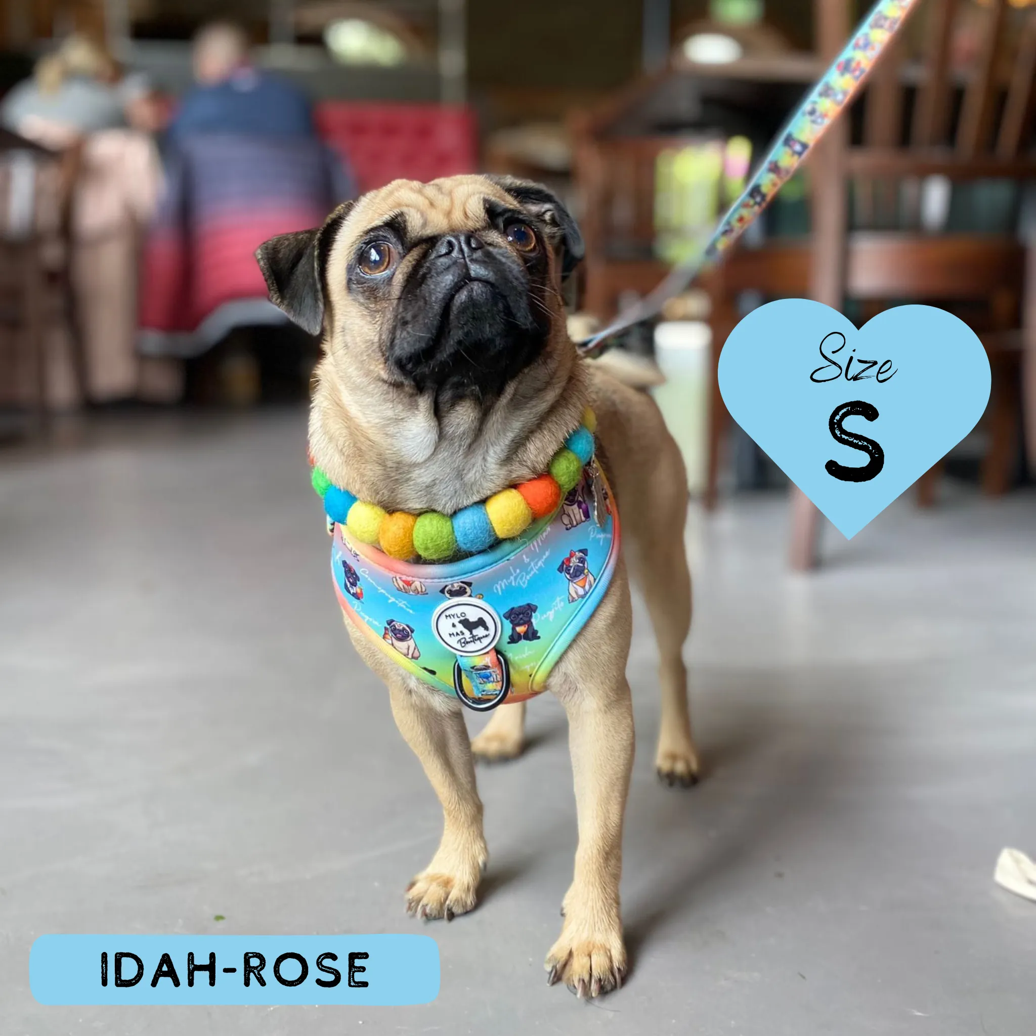 Dog Adjustable Harness - Oh My Pug!