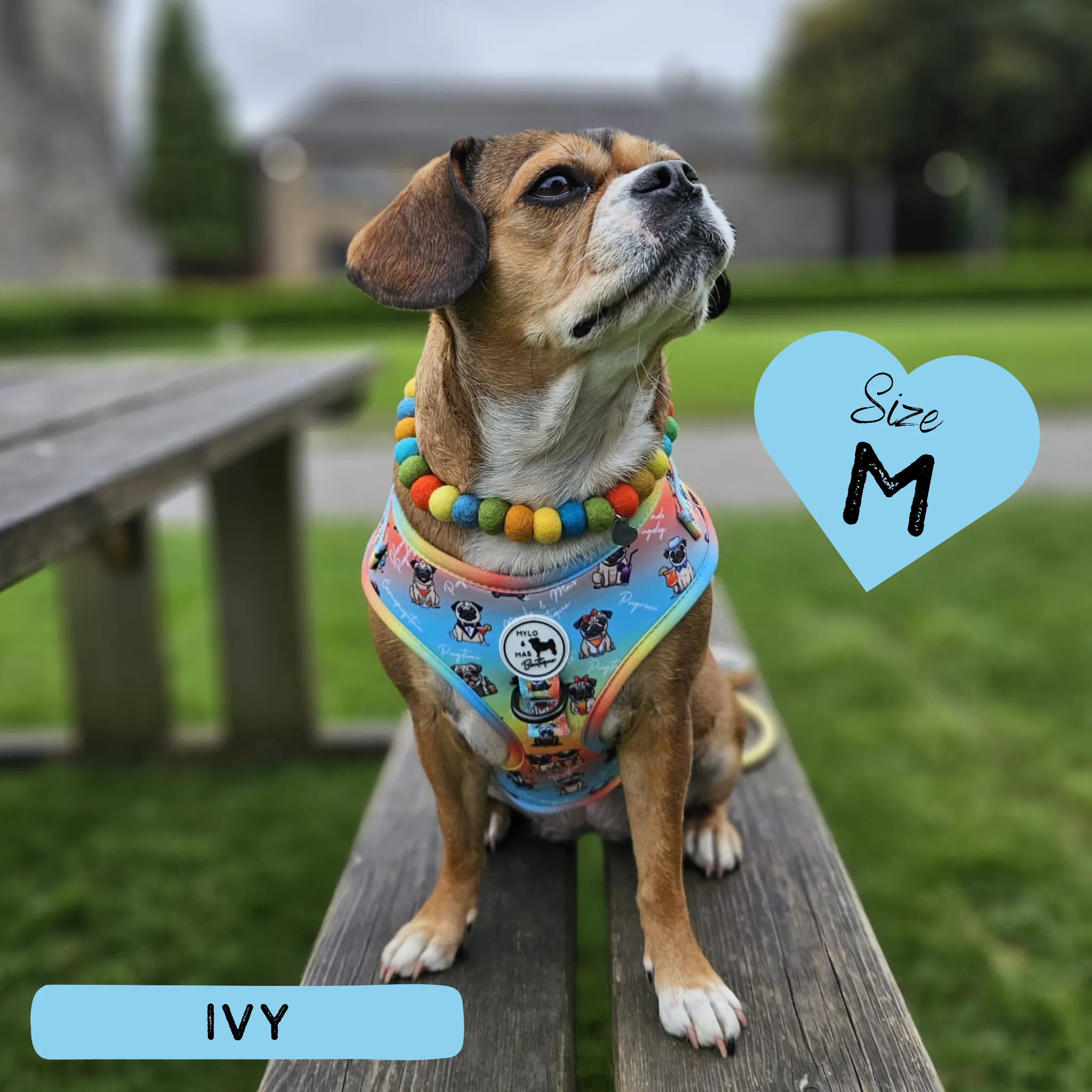 Dog Adjustable Harness - Oh My Pug!