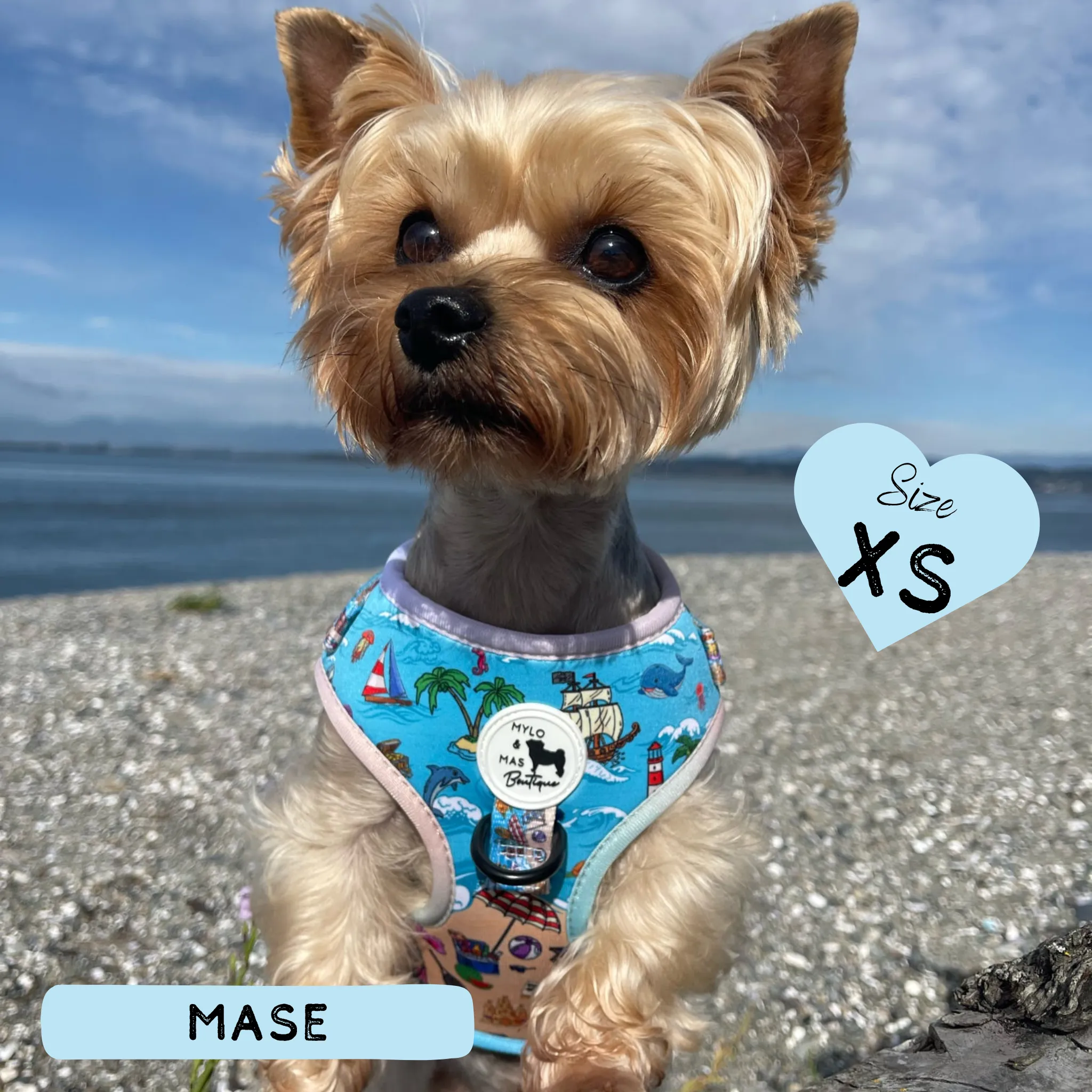 Dog Adjustable Harness - Sun of a Beach