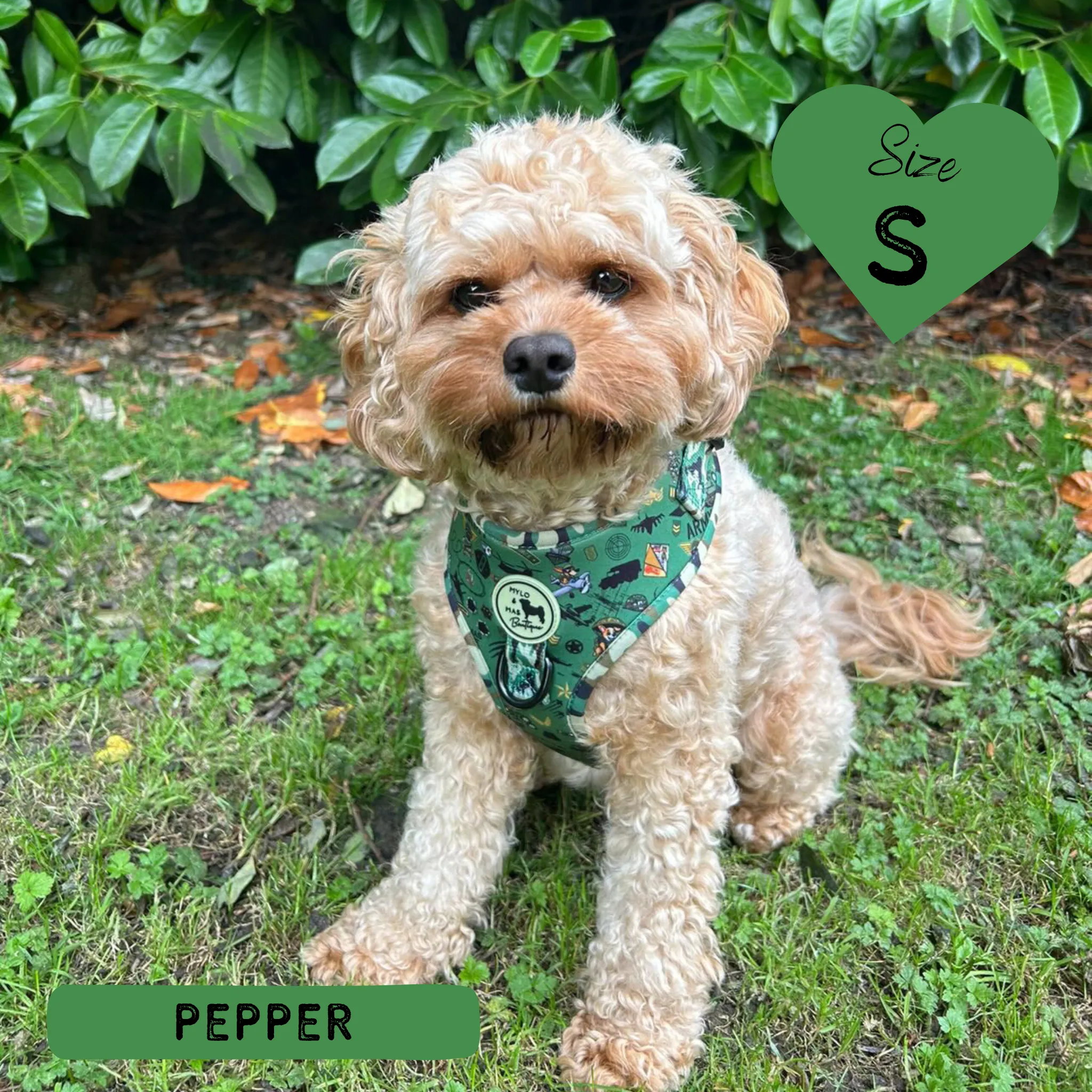 Dog Adjustable Harness - Supaw Trooper