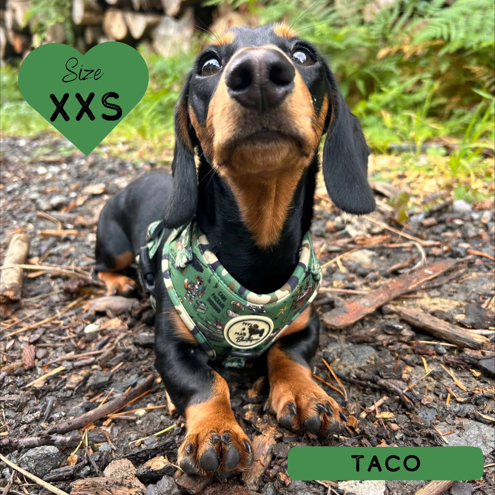 Dog Adjustable Harness - Supaw Trooper