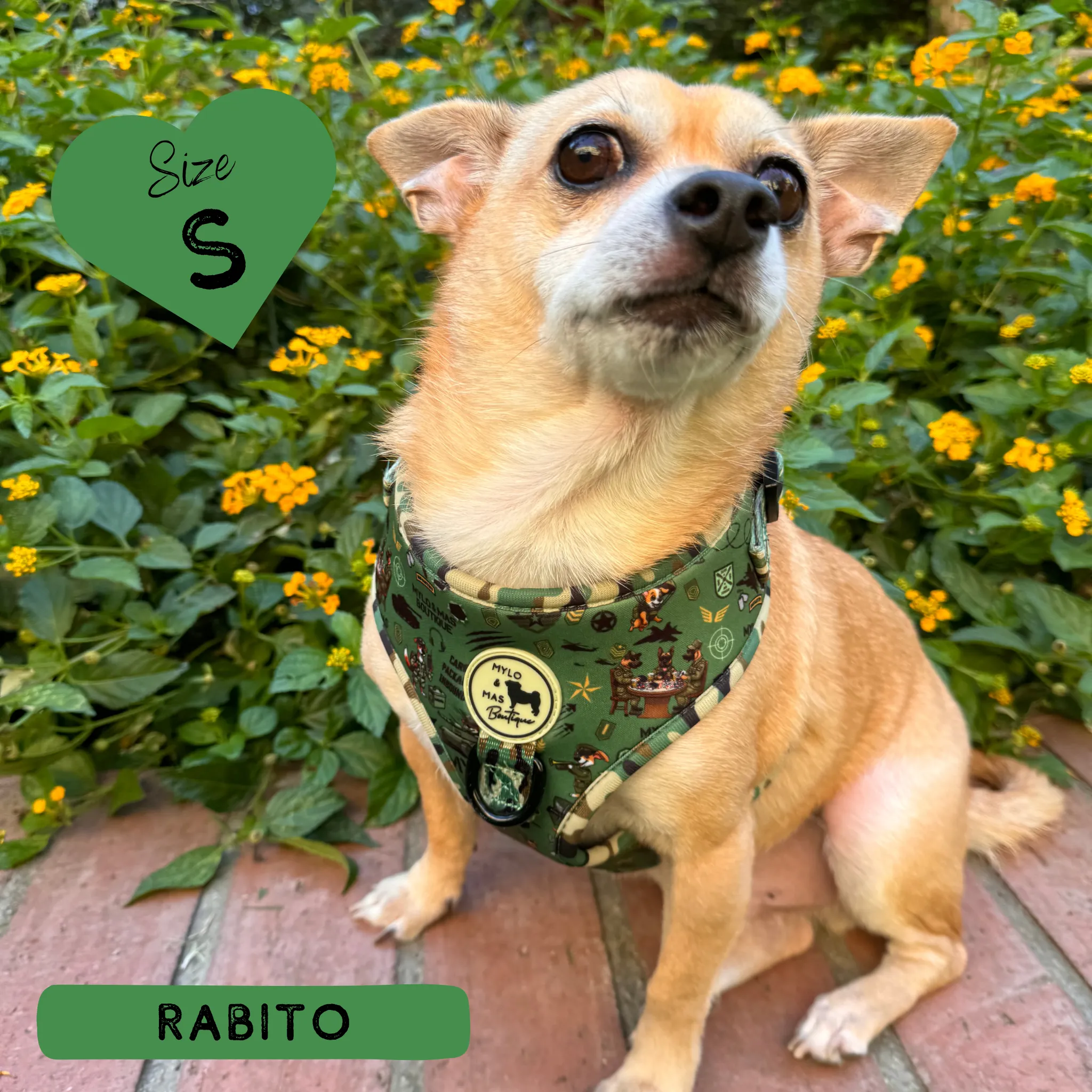 Dog Adjustable Harness - Supaw Trooper