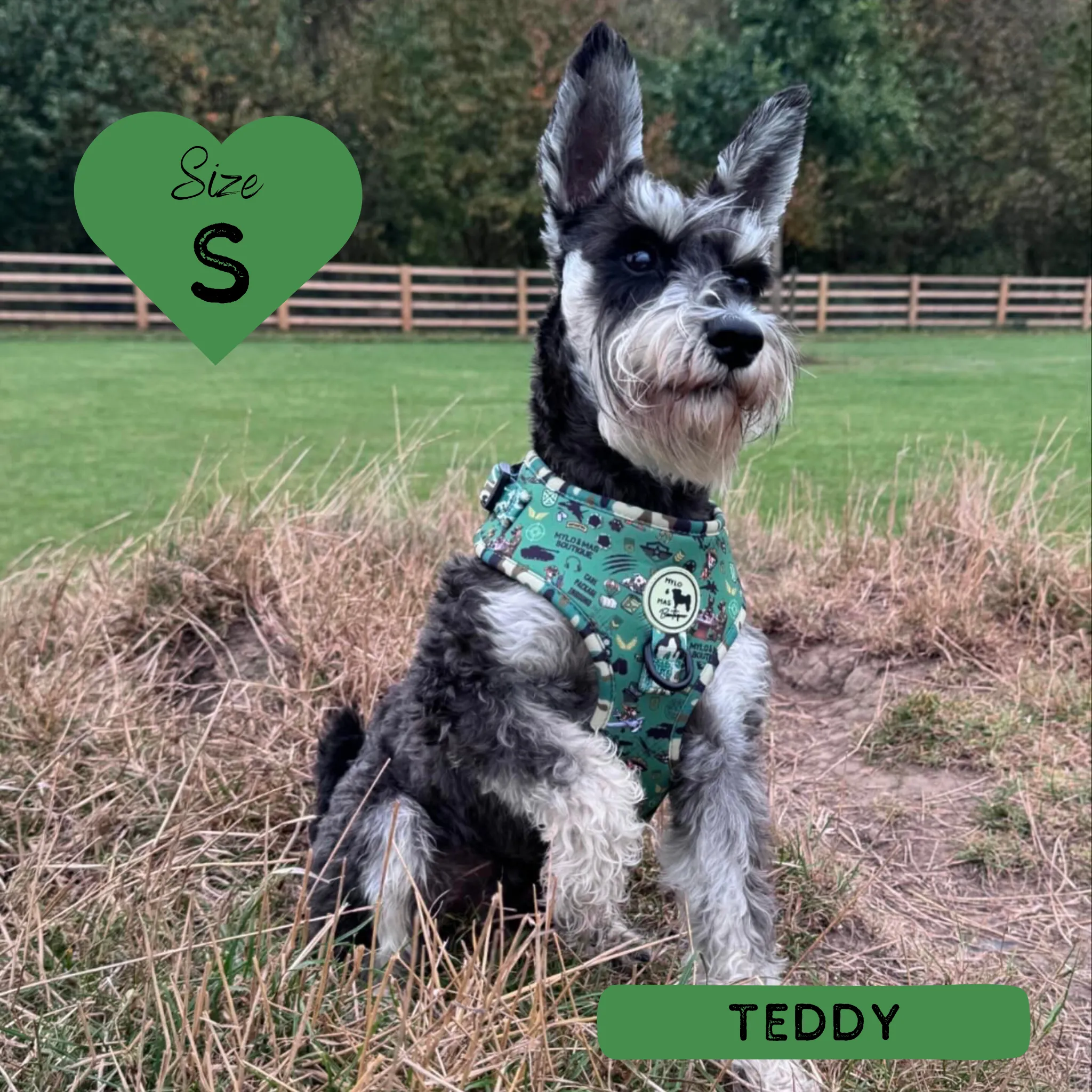 Dog Adjustable Harness - Supaw Trooper