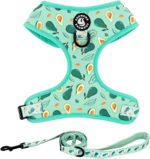 Dog Cat Harness and Leash Set, Puppia Soft Mesh Padded and Adjustable Puppy Vest Cute Dog Clothes Escape Proof Easy Walk Pet Accessories