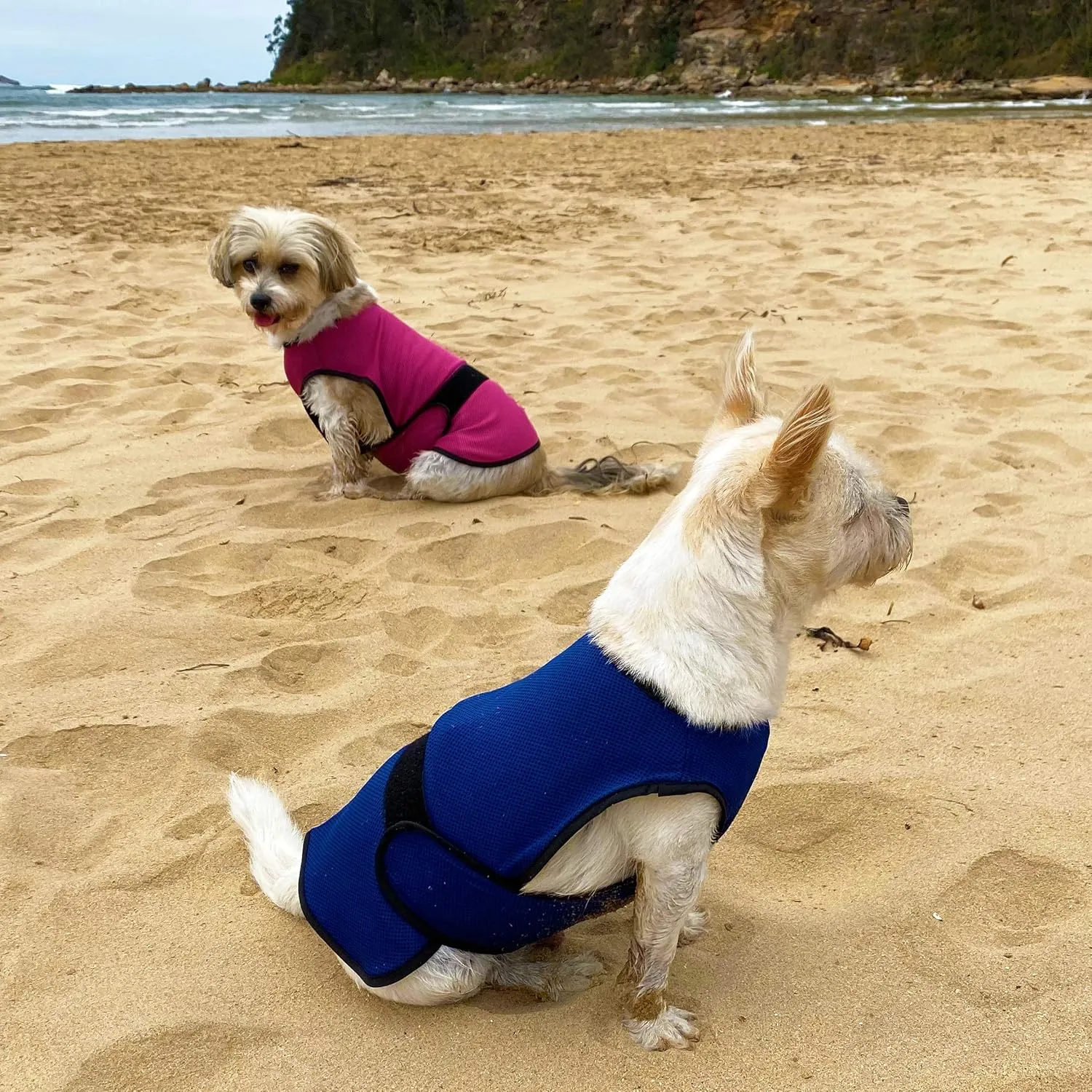 Dog Cooling Vest. Lightweight Jacket with Evaporative Cool Microfiber Technology, UV Protection Shirt for Beach, Sizing for Small, Medium and Large Dogs (XL, Rose Pink)