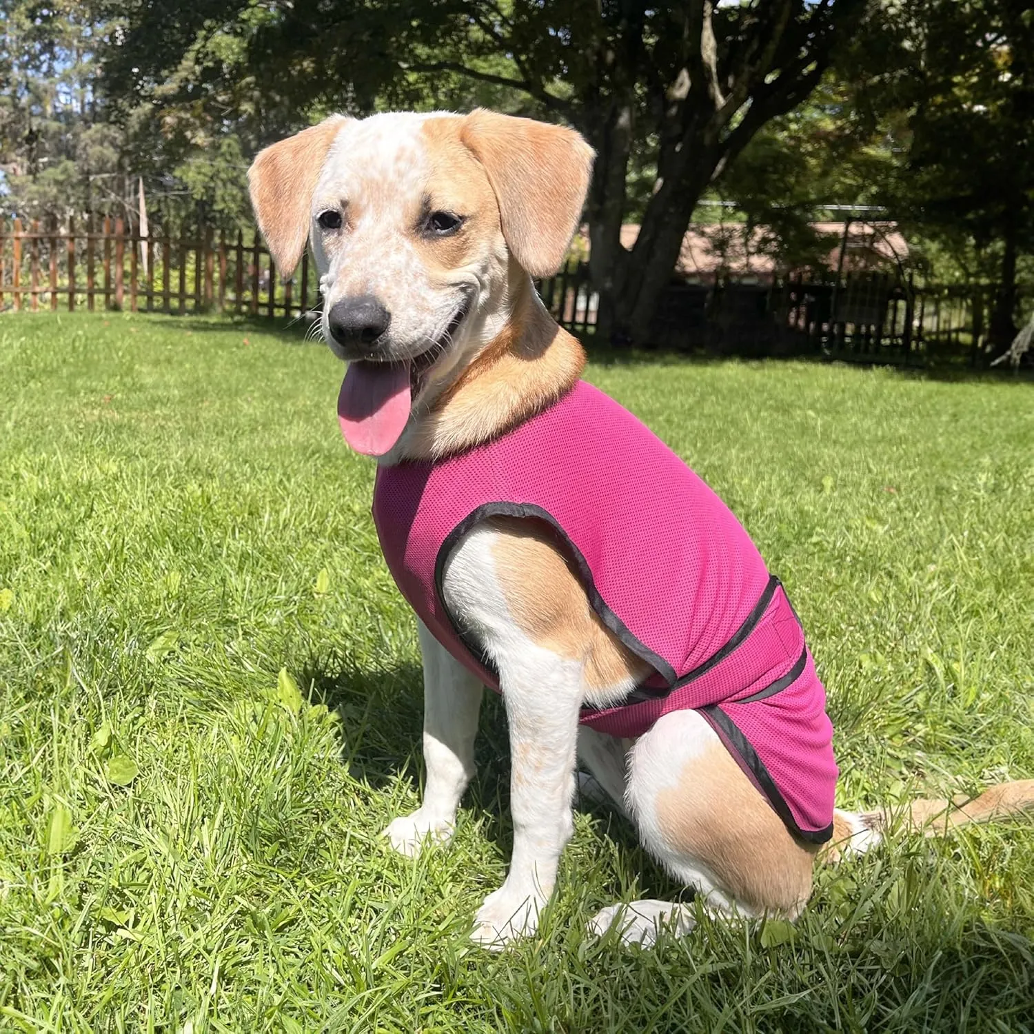Dog Cooling Vest. Lightweight Jacket with Evaporative Cool Microfiber Technology, UV Protection Shirt for Beach, Sizing for Small, Medium and Large Dogs (XL, Rose Pink)