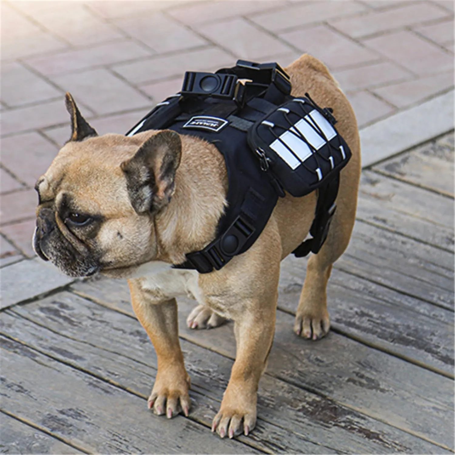 Dog Harness Backpack,Backpack for Dog,Adjustable Pets Self Carrier Bag for Small Medium Dogs Travel Hiking Daily Walking(Black,S)