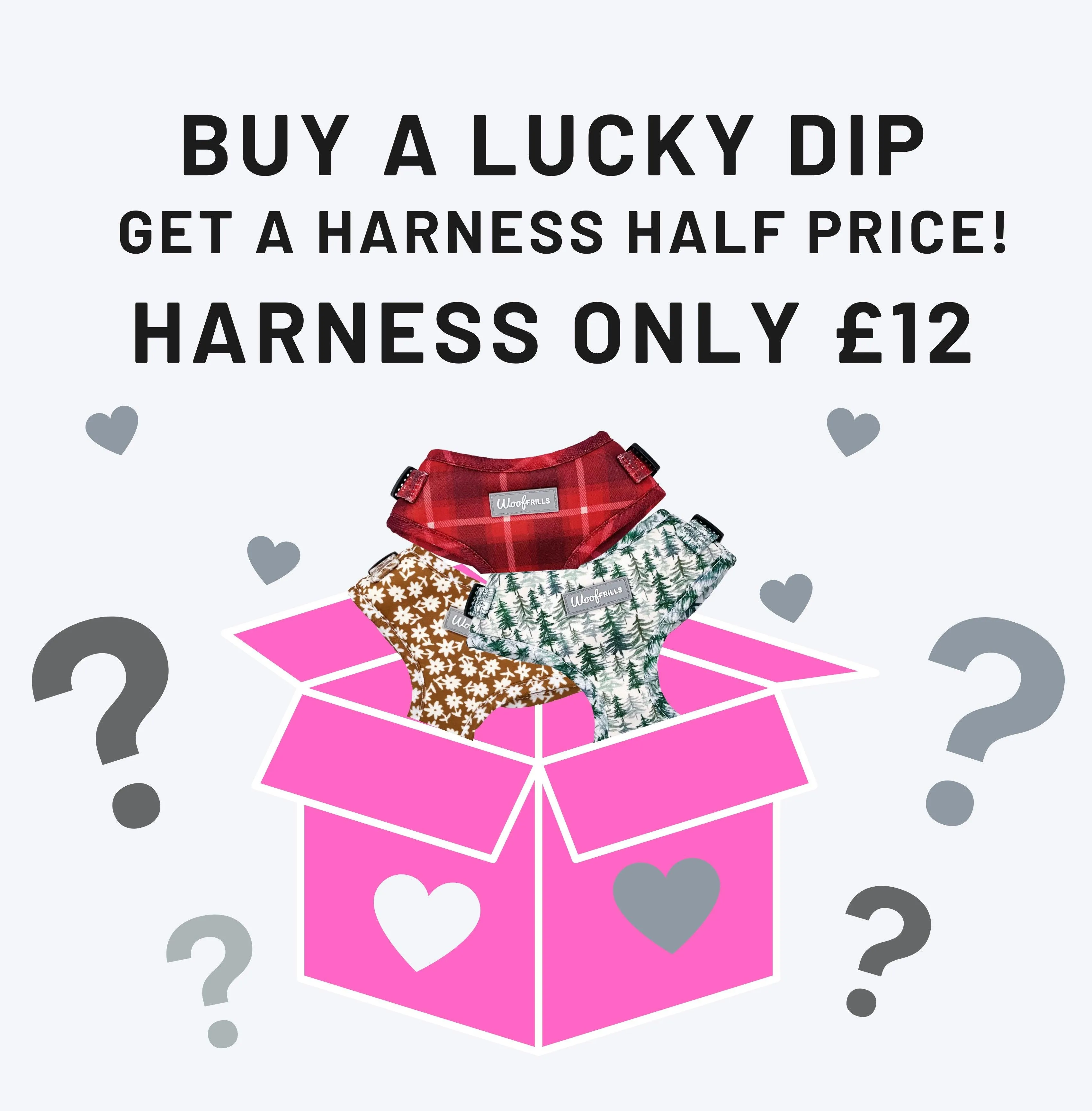 Dog harness| Lucky dip