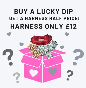Dog harness| Lucky dip