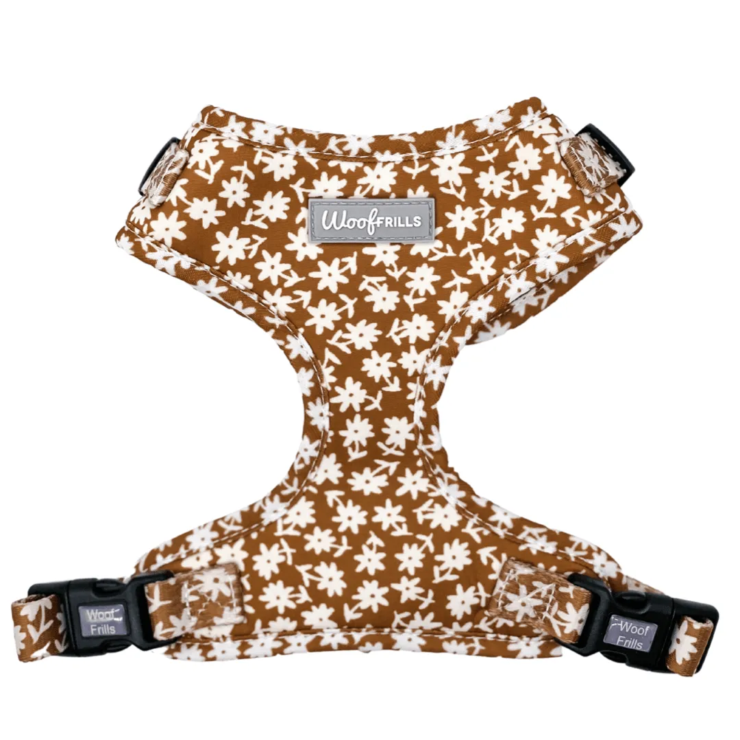 Dog harness| Lucky dip