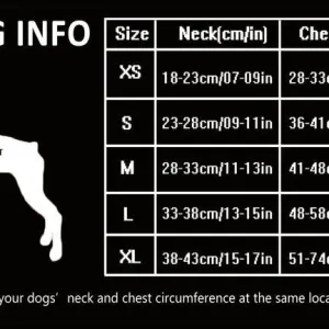 Dog Harness with Steel D Ring - Red, XL