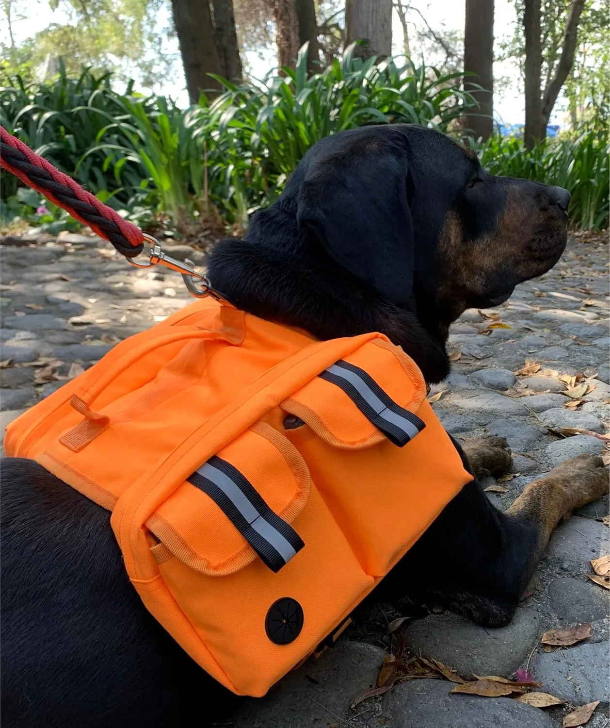 Dog Hiking Backpack Saddle Bag Medium Dogs Adjustable Harness Reflective Straps Side Pockets Breathable Fabric Outdoor Walking Travel Lightweight Durable Design Ideal Pet Gear Adventure Use