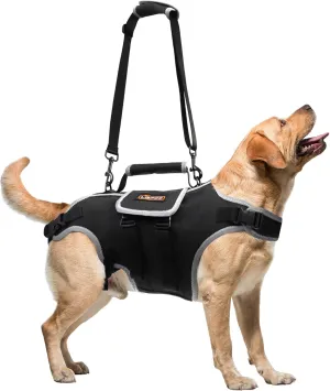 Dog Lift Harness, Full Body Support with Adjustable Control Handle & Reflective Straps for Large Senior Dogs, Post-Surgery Recovery & Joint Problems (Oxford Cloth, XL)