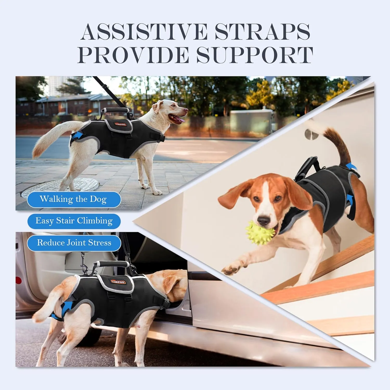 Dog Lift Harness, Full Body Support with Adjustable Control Handle & Reflective Straps for Large Senior Dogs, Post-Surgery Recovery & Joint Problems (Oxford Cloth, XL)