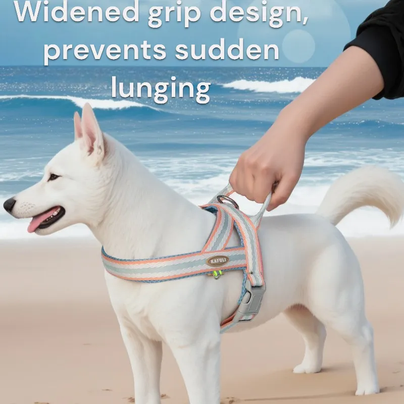 Dog Lightweight Leash and Harness