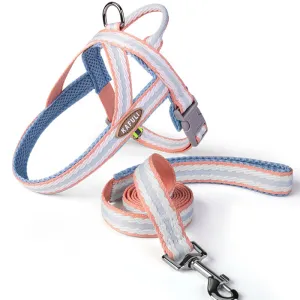 Dog Lightweight Leash and Harness