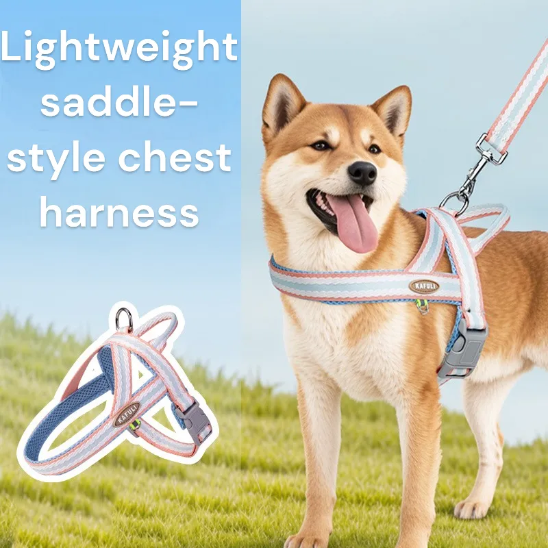 Dog Lightweight Leash and Harness