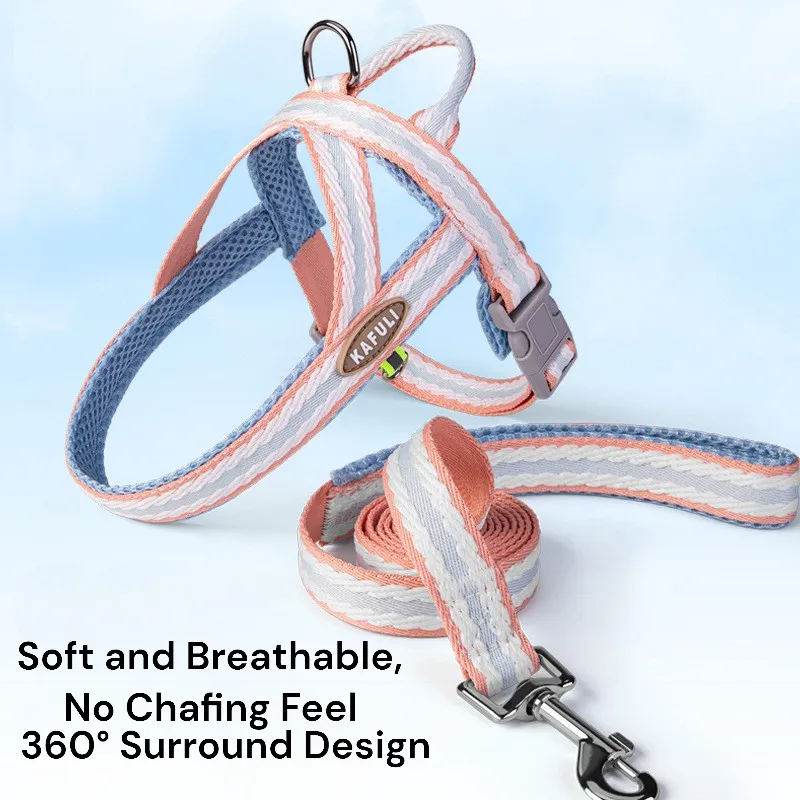 Dog Lightweight Leash and Harness