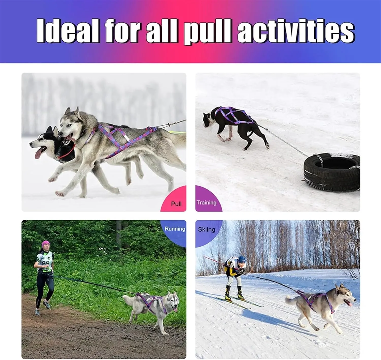 Dog Sledding Harness,Dog Sled Harness Adjustable Big Dog Weight Pulling Harness Pet Sleding Harness for Medium Large Dogs Husky Skijoring(Blue,L)