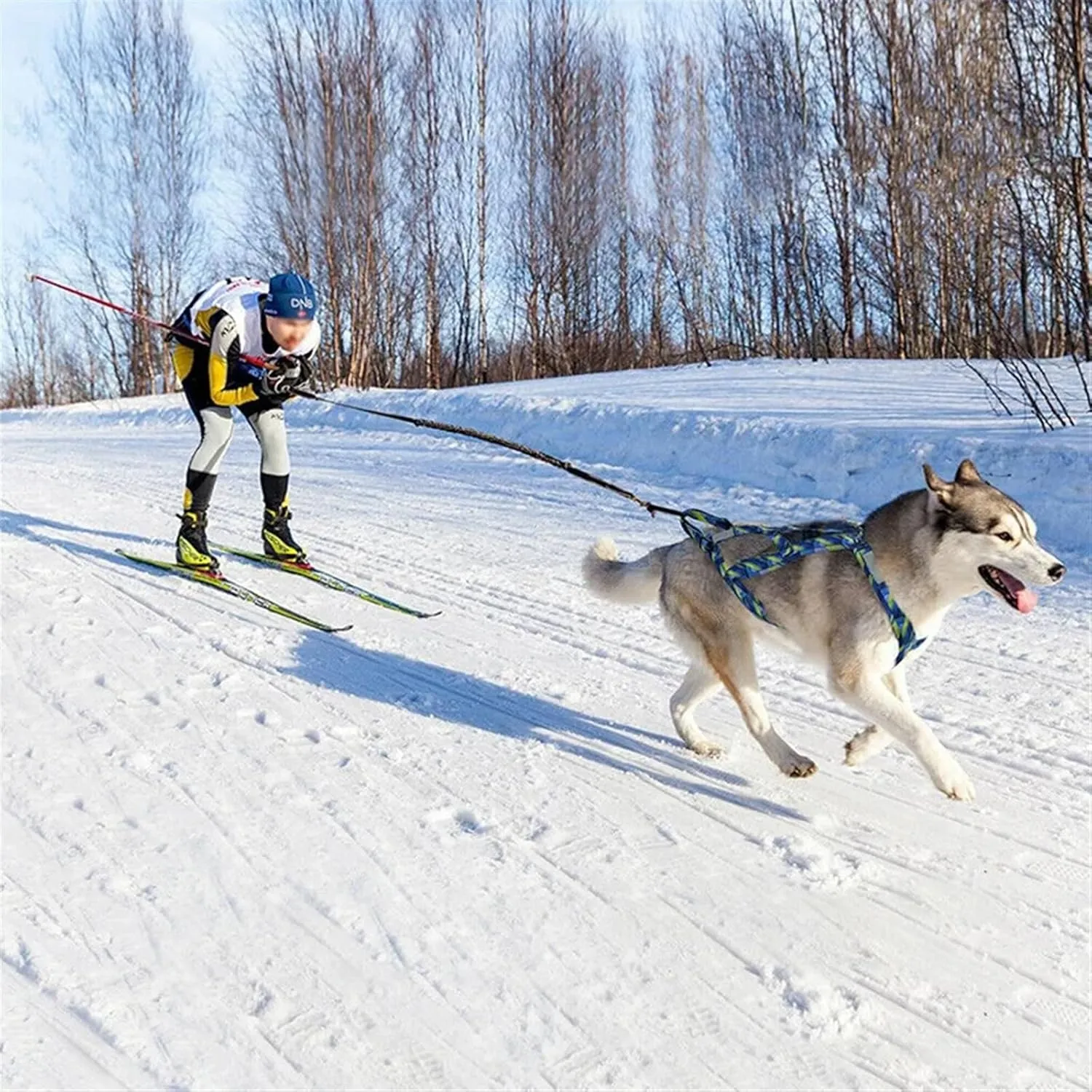 Dog Sledding Harness,Dog Sled Harness Adjustable Big Dog Weight Pulling Harness Pet Sleding Harness for Medium Large Dogs Husky Skijoring(Blue,L)
