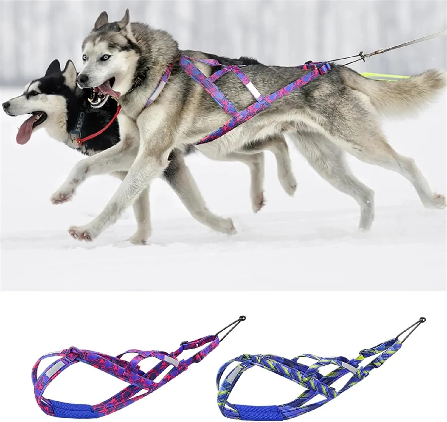Dog Sledding Harness,Dog Sled Harness Adjustable Big Dog Weight Pulling Harness Pet Sleding Harness for Medium Large Dogs Husky Skijoring(Blue,L)