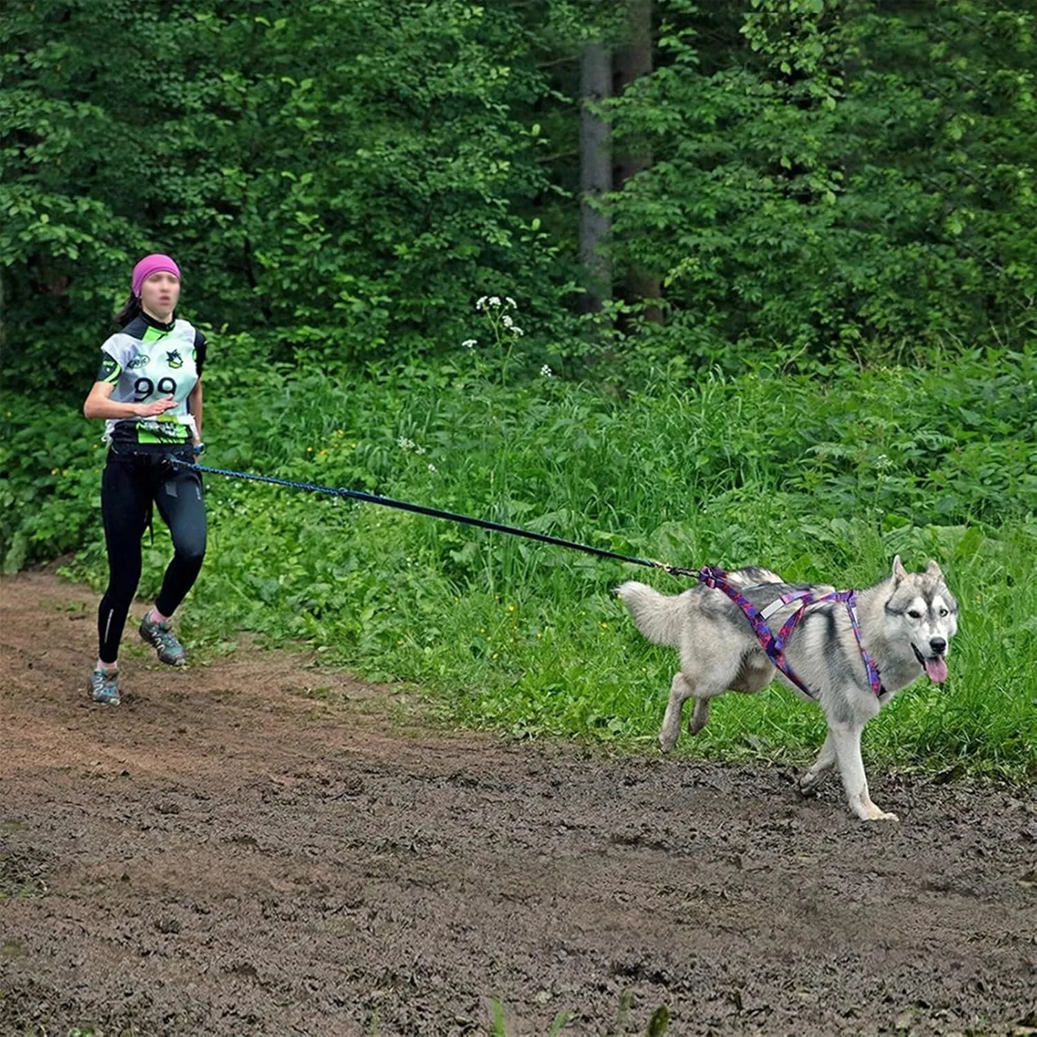 Dog Sledding Harness,Dog Sled Harness Adjustable Big Dog Weight Pulling Harness Pet Sleding Harness for Medium Large Dogs Husky Skijoring(Blue,L)