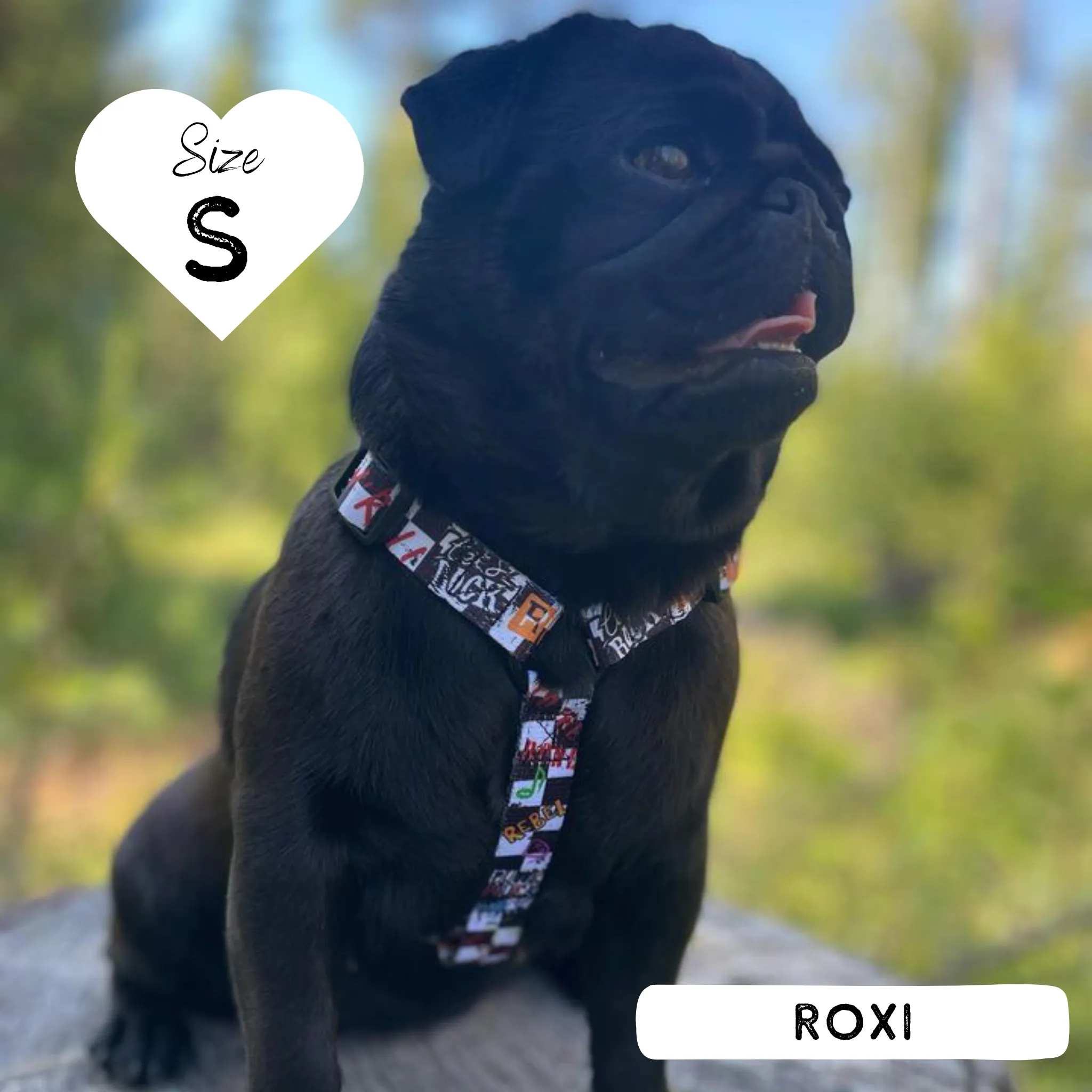 Dog Strap Harness - Bone Jovie