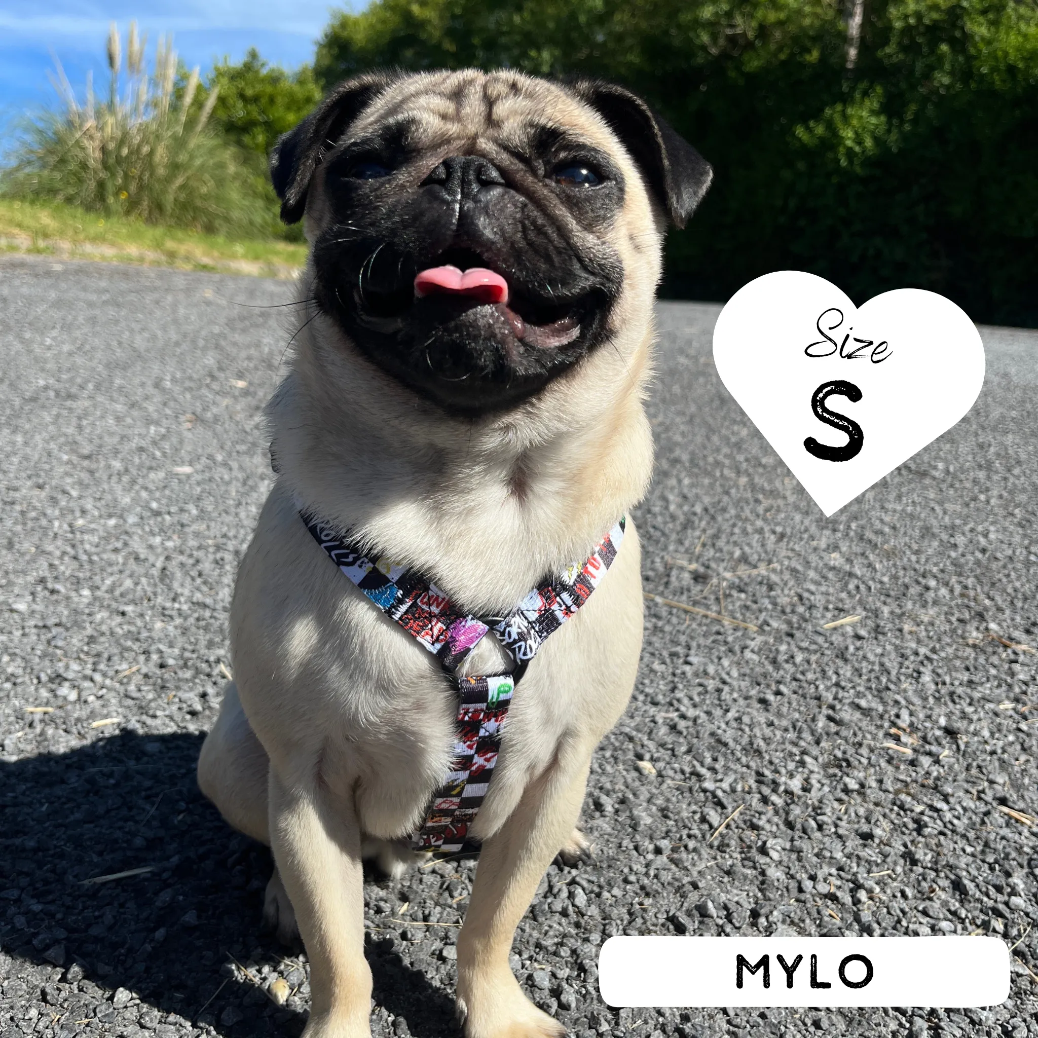 Dog Strap Harness - Bone Jovie