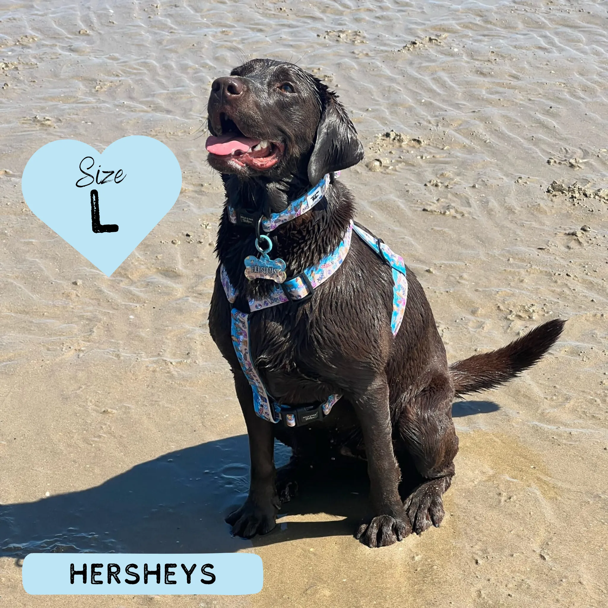Dog Strap Harness - Sun of a Beach