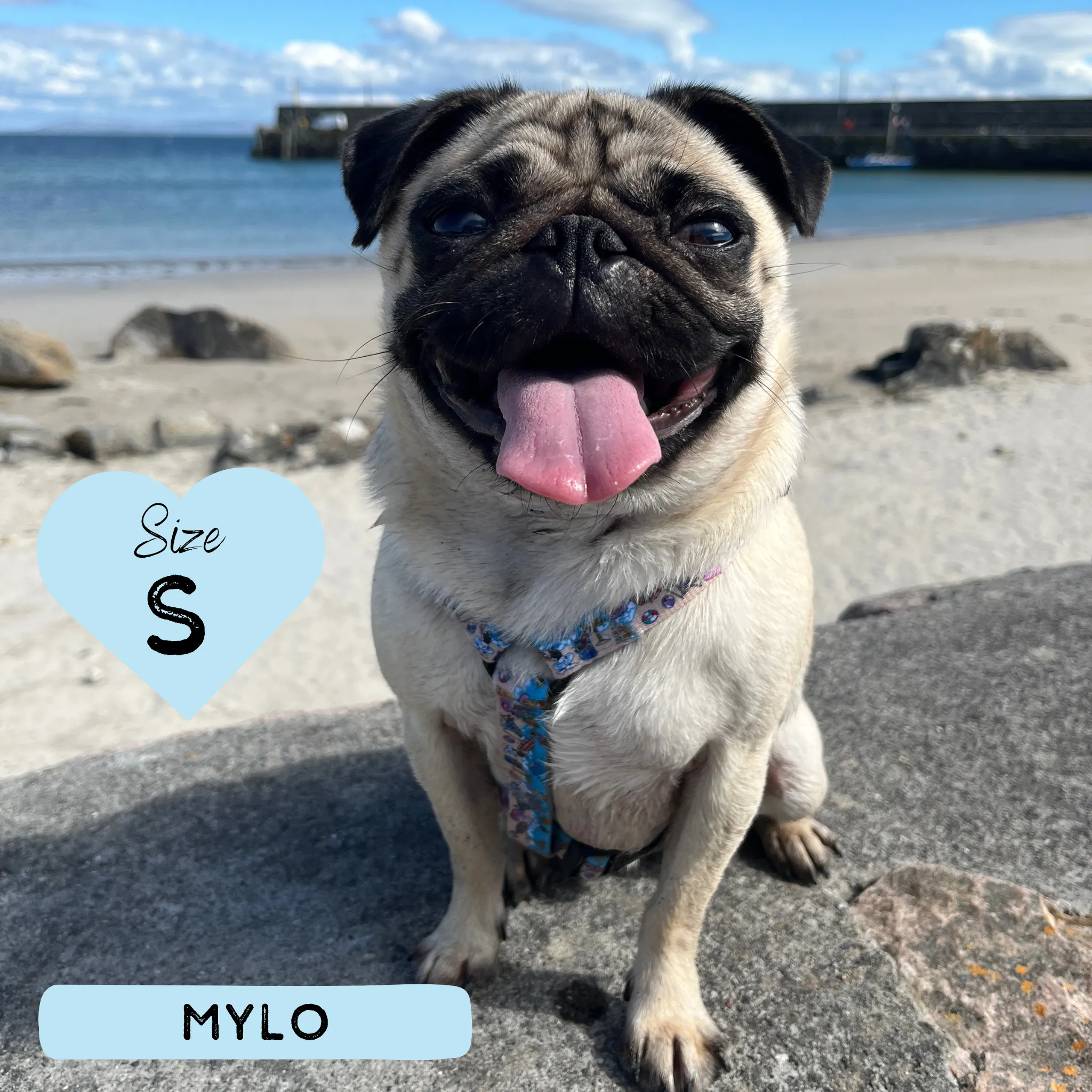 Dog Strap Harness - Sun of a Beach