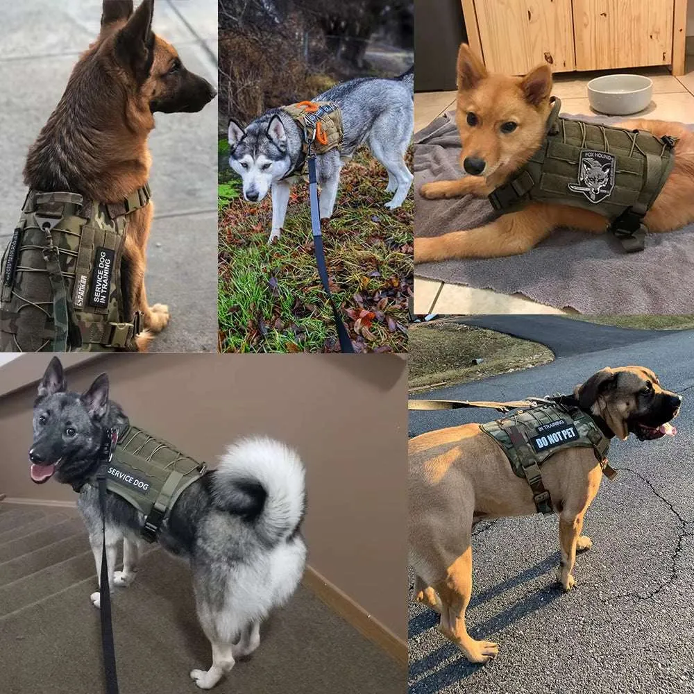 Dog Tactical Harnes Leash Collar