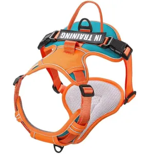 Easy Control Handle No Pull Dog Harness