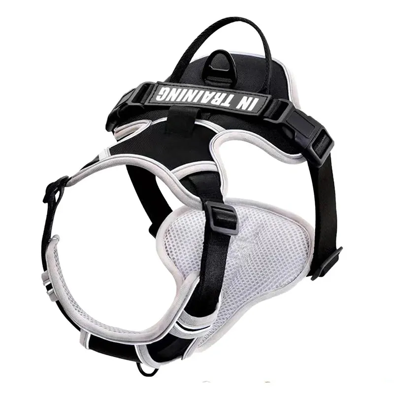Easy Control Handle No Pull Dog Harness