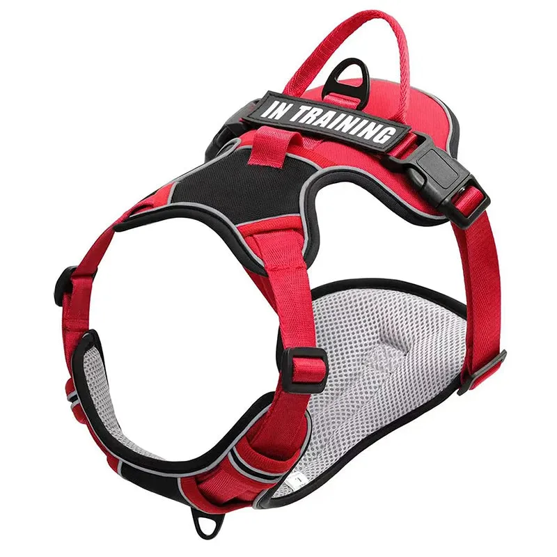 Easy Control Handle No Pull Dog Harness