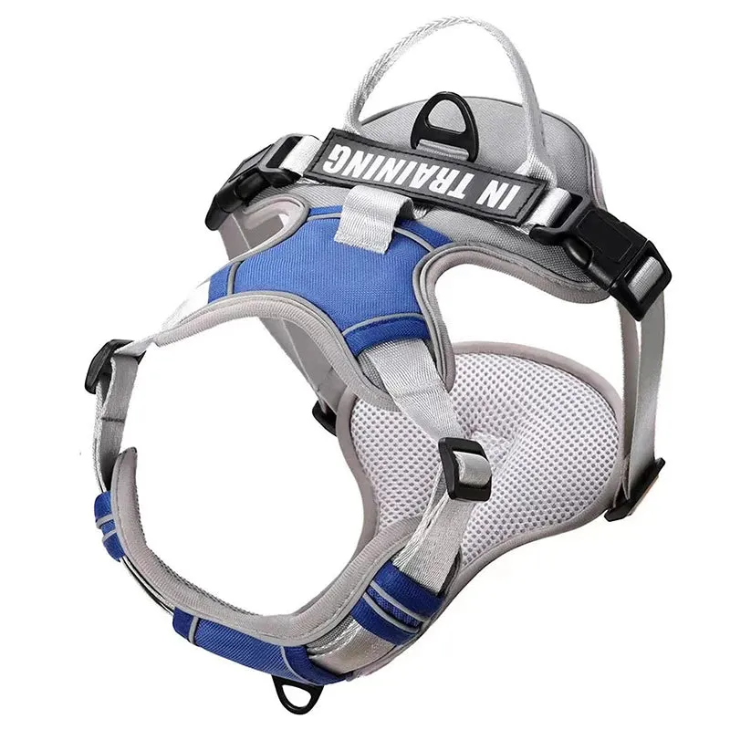 Easy Control Handle No Pull Dog Harness