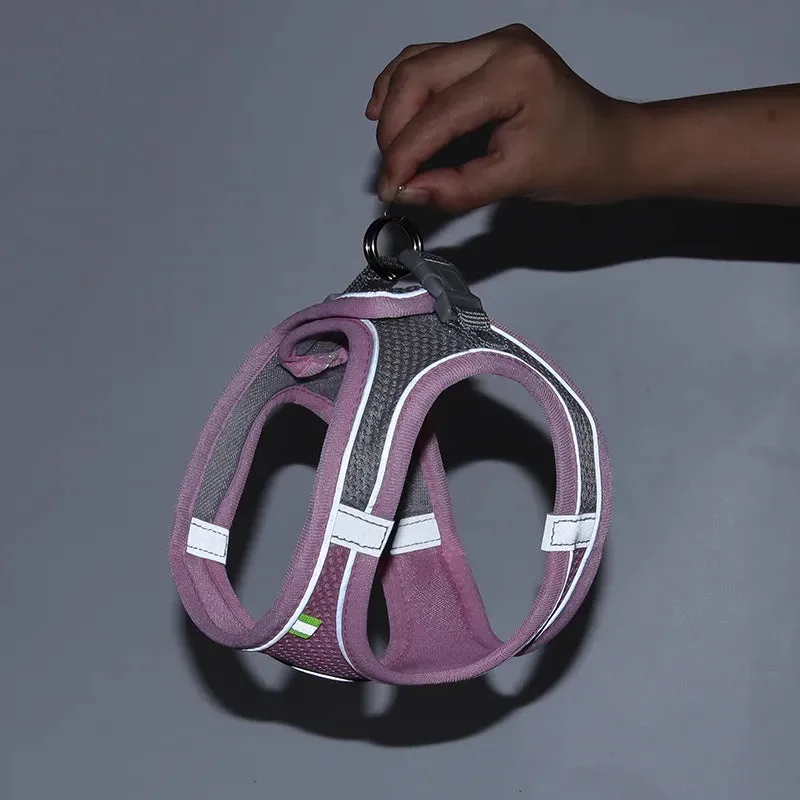 Escape Proof Cat Harness & Leash Set