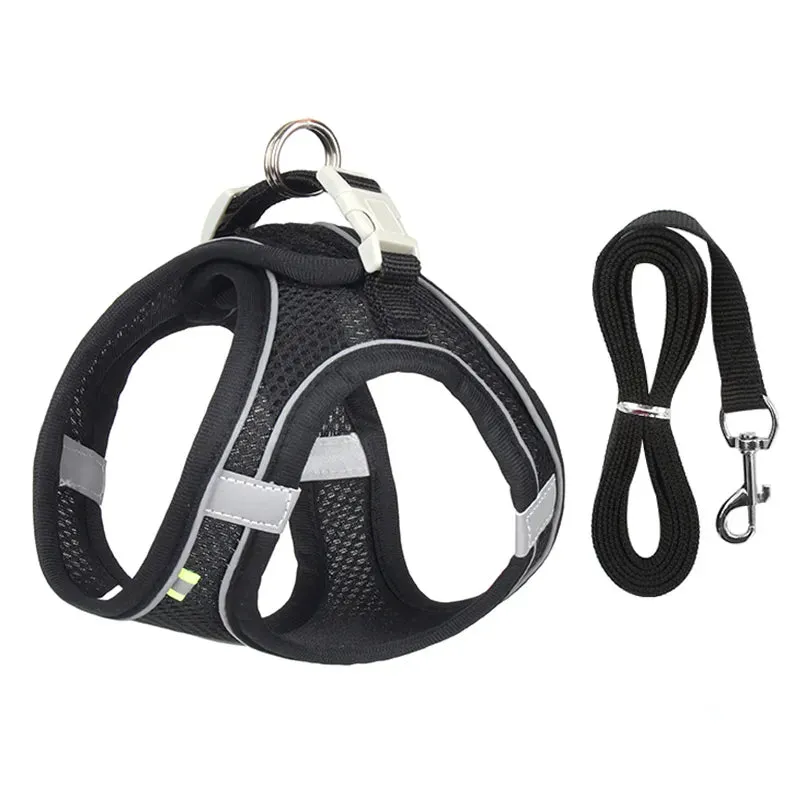 Escape Proof Cat Harness & Leash Set
