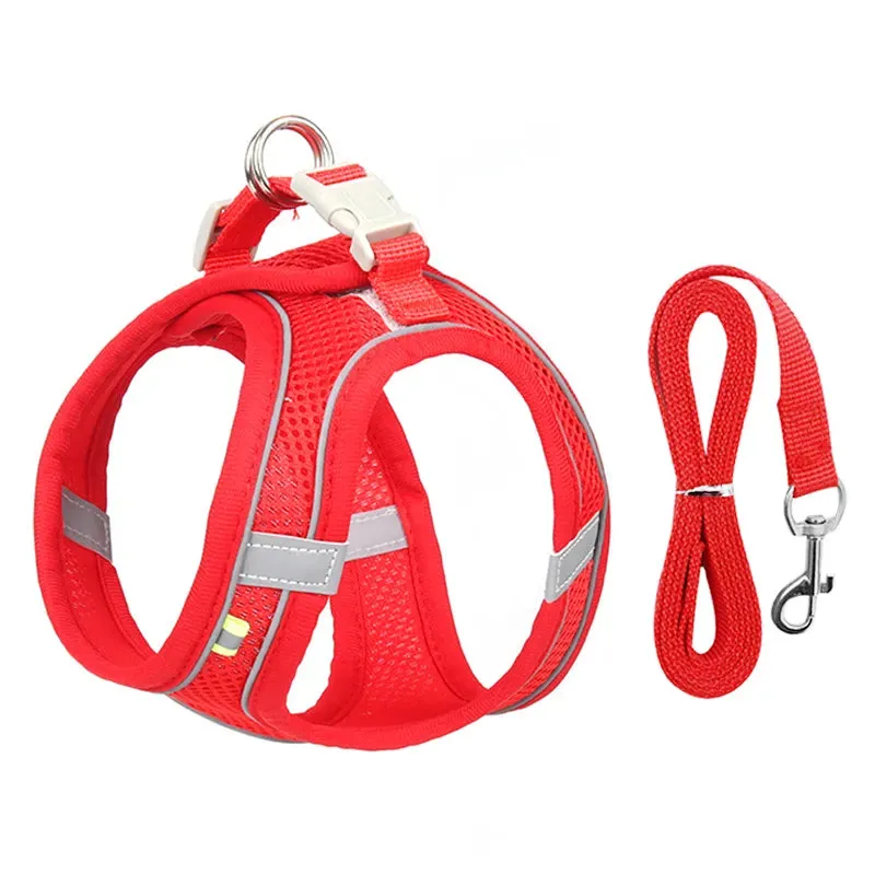 Escape Proof Cat Harness & Leash Set