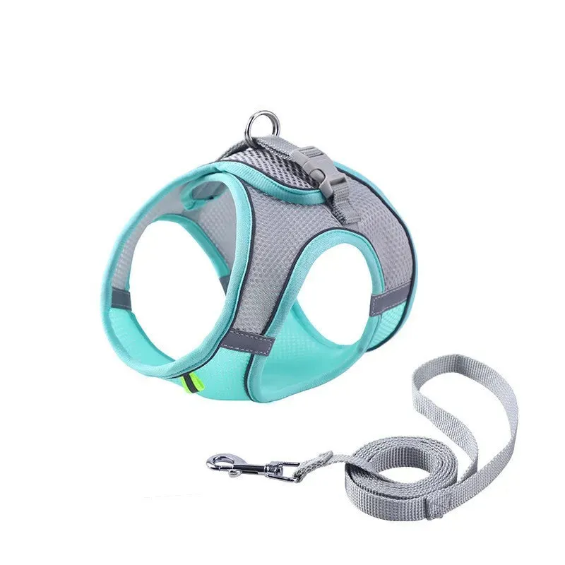 Escape Proof Cat Harness & Leash Set