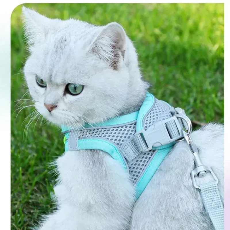 Escape Proof Cat Harness & Leash Set