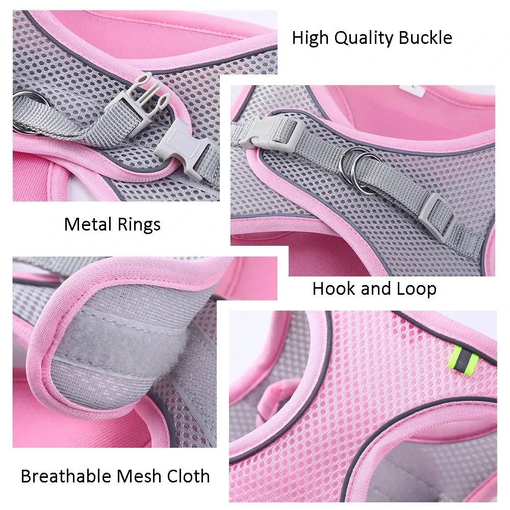 Escape Proof Cat Harness & Leash Set
