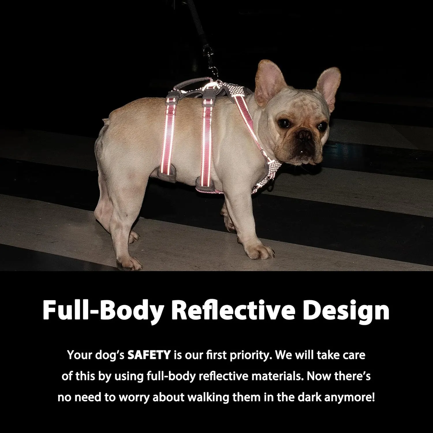 Escape Proof Harness - No Slip Dog Harness, Fully Reflective with Handle, Breathable, Durable, Adjustable Vest for Medium Dogs Walking, Training, and Running Gear (Sea Blue, M)