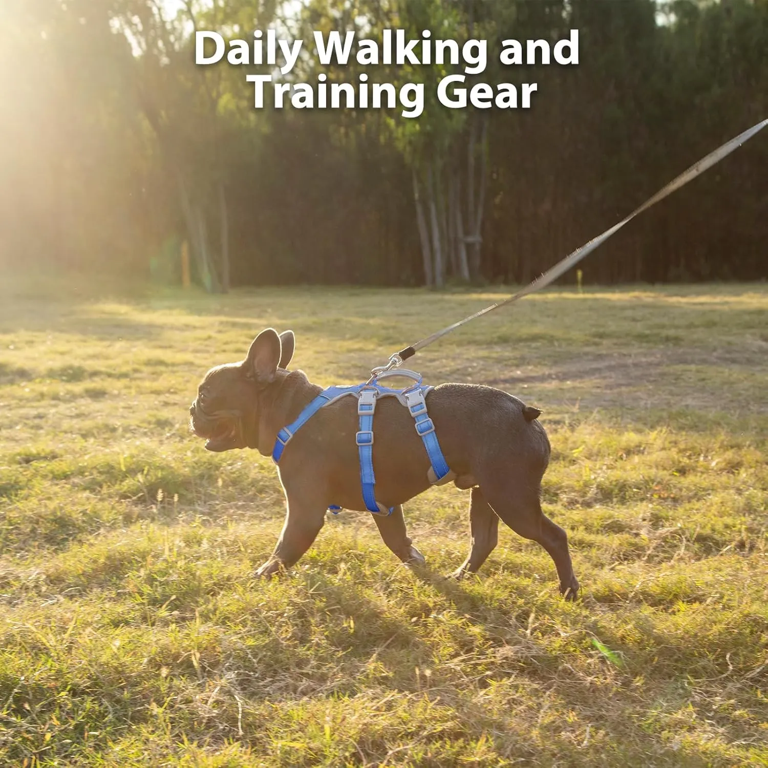 Escape Proof Harness - No Slip Dog Harness, Fully Reflective with Handle, Breathable, Durable, Adjustable Vest for Medium Dogs Walking, Training, and Running Gear (Sea Blue, M)