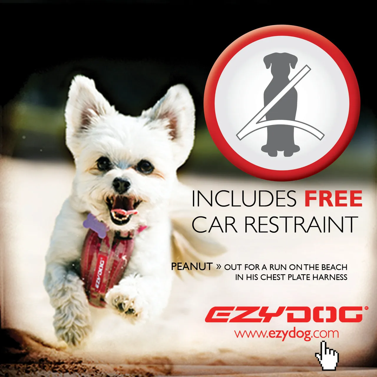 EzyDog Chest Plate Dog Harness with Swivelling Car Restraint