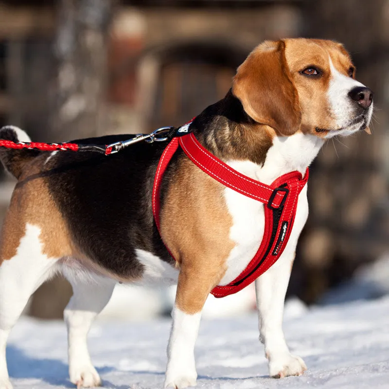 EzyDog Chest Plate Dog Harness with Swivelling Car Restraint